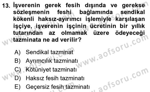 Toplu İş Hukuku Dersi 2024 - 2025 Yılı (Vize) Ara Sınav Soruları 13. Soru
