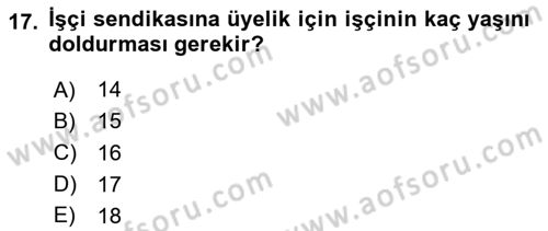 Toplu İş Hukuku Dersi 2024 - 2025 Yılı (Vize) Ara Sınav Soruları 17. Soru