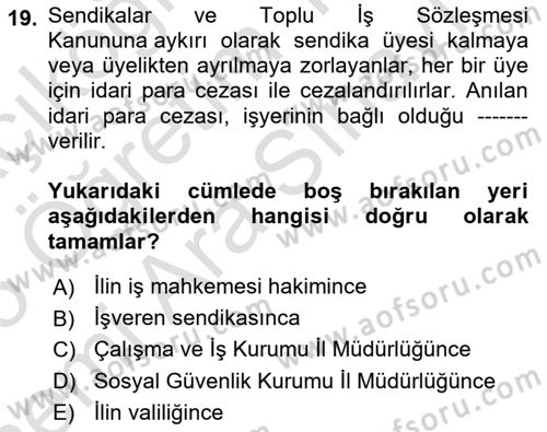 Toplu İş Hukuku Dersi 2024 - 2025 Yılı (Vize) Ara Sınav Soruları 19. Soru