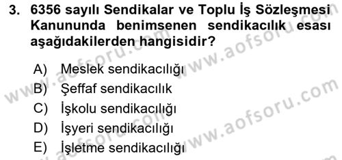 Toplu İş Hukuku Dersi 2024 - 2025 Yılı (Vize) Ara Sınav Soruları 3. Soru