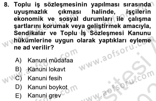 Toplu İş Hukuku Dersi 2024 - 2025 Yılı (Vize) Ara Sınav Soruları 8. Soru