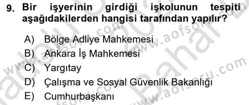 Toplu İş Hukuku Dersi 2024 - 2025 Yılı (Vize) Ara Sınav Soruları 9. Soru