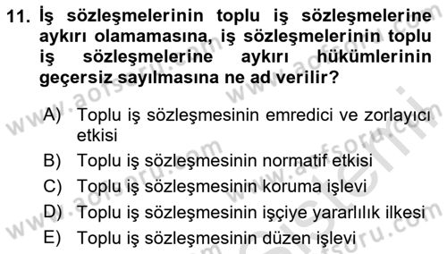 Toplu İş Hukuku Dersi 2024 - 2025 Yılı (Final) Dönem Sonu Sınav Soruları 11. Soru