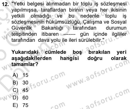 Toplu İş Hukuku Dersi 2024 - 2025 Yılı (Final) Dönem Sonu Sınav Soruları 12. Soru