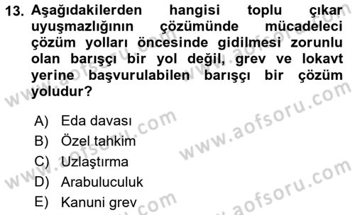 Toplu İş Hukuku Dersi 2024 - 2025 Yılı (Final) Dönem Sonu Sınav Soruları 13. Soru
