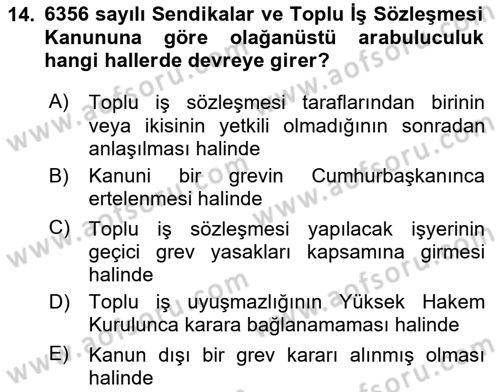 Toplu İş Hukuku Dersi 2024 - 2025 Yılı (Final) Dönem Sonu Sınav Soruları 14. Soru