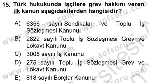 Toplu İş Hukuku Dersi 2024 - 2025 Yılı (Final) Dönem Sonu Sınav Soruları 15. Soru
