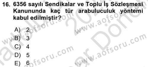 Toplu İş Hukuku Dersi 2024 - 2025 Yılı (Final) Dönem Sonu Sınav Soruları 16. Soru