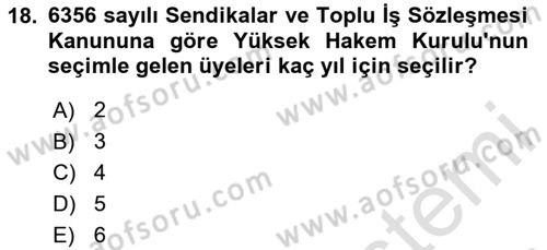 Toplu İş Hukuku Dersi 2024 - 2025 Yılı (Final) Dönem Sonu Sınav Soruları 18. Soru