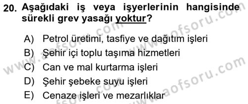 Toplu İş Hukuku Dersi 2024 - 2025 Yılı (Final) Dönem Sonu Sınav Soruları 20. Soru