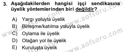 Toplu İş Hukuku Dersi 2024 - 2025 Yılı (Final) Dönem Sonu Sınav Soruları 3. Soru