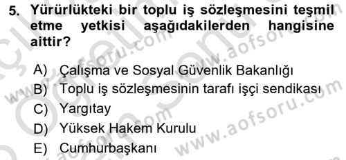 Toplu İş Hukuku Dersi 2024 - 2025 Yılı (Final) Dönem Sonu Sınav Soruları 5. Soru