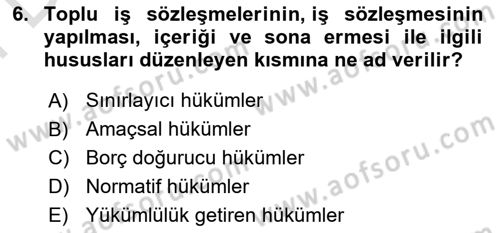 Toplu İş Hukuku Dersi 2024 - 2025 Yılı (Final) Dönem Sonu Sınav Soruları 6. Soru