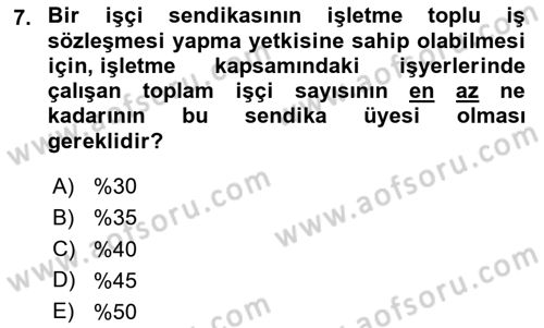 Toplu İş Hukuku Dersi 2024 - 2025 Yılı (Final) Dönem Sonu Sınav Soruları 7. Soru
