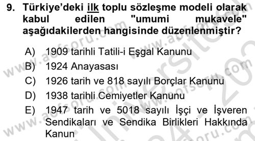 Toplu İş Hukuku Dersi 2024 - 2025 Yılı (Final) Dönem Sonu Sınav Soruları 9. Soru