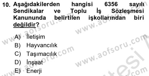 Toplu İş Hukuku Dersi 2025 - 2026 Yılı (Vize) Ara Sınav Soruları 10. Soru