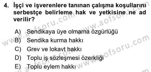 Toplu İş Hukuku Dersi 2025 - 2026 Yılı (Vize) Ara Sınav Soruları 4. Soru