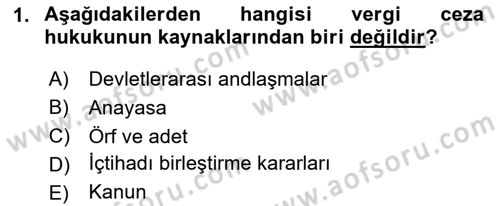Vergi Ceza Hukuku Dersi 2023 - 2024 Yılı Yaz Okulu Sınav Soruları 1. Soru