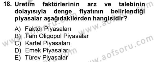 İktisada Giriş Dersi 2012 - 2013 Yılı (Vize) Ara Sınav Soruları 18. Soru