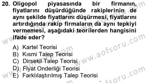 İktisada Giriş Dersi 2012 - 2013 Yılı (Vize) Ara Sınav Soruları 20. Soru