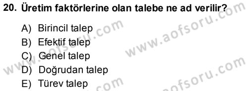 İktisada Giriş Dersi 2013 - 2014 Yılı (Vize) Ara Sınav Soruları 20. Soru