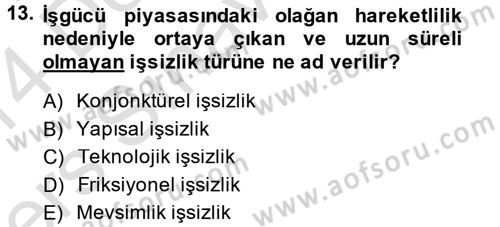 İktisada Giriş Dersi 2013 - 2014 Yılı Tek Ders Sınavı 13. Soru