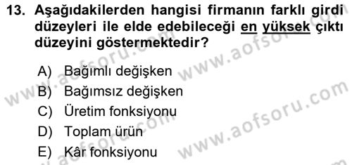 İktisada Giriş Dersi 2015 - 2016 Yılı (Vize) Ara Sınav Soruları 13. Soru
