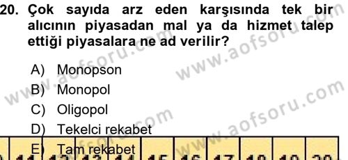 İktisada Giriş Dersi 2015 - 2016 Yılı (Vize) Ara Sınav Soruları 20. Soru