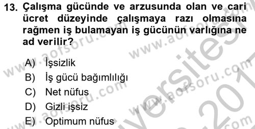 İktisada Giriş Dersi 2016 - 2017 Yılı 3 Ders Sınav Soruları 13. Soru
