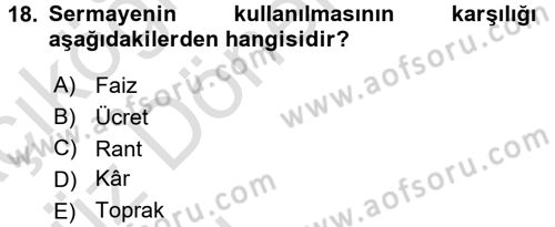 İktisada Giriş Dersi 2016 - 2017 Yılı (Vize) Ara Sınav Soruları 18. Soru