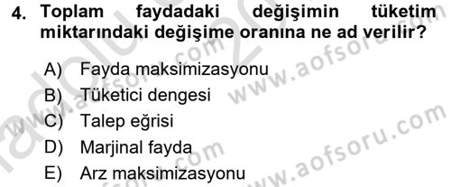 İktisada Giriş Dersi 2016 - 2017 Yılı (Vize) Ara Sınav Soruları 4. Soru