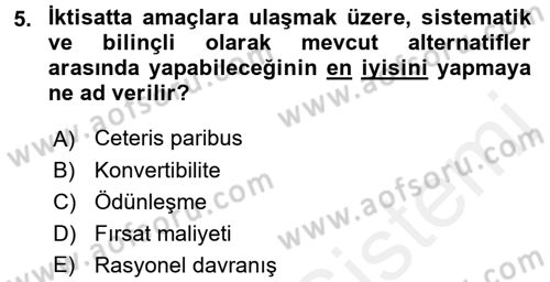 İktisada Giriş Dersi 2017 - 2018 Yılı 3 Ders Sınav Soruları 5. Soru