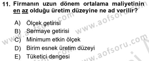 İktisada Giriş Dersi 2017 - 2018 Yılı (Vize) Ara Sınav Soruları 11. Soru