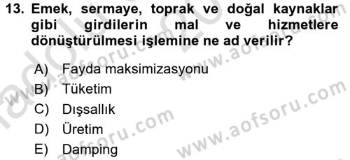 İktisada Giriş Dersi 2017 - 2018 Yılı (Vize) Ara Sınav Soruları 13. Soru