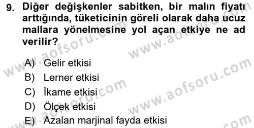 İktisada Giriş Dersi 2017 - 2018 Yılı (Vize) Ara Sınav Soruları 9. Soru