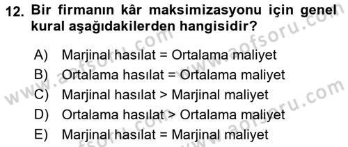 İktisada Giriş Dersi 2018 - 2019 Yılı (Vize) Ara Sınavı 12. Soru