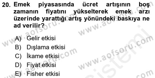 İktisada Giriş Dersi 2018 - 2019 Yılı (Vize) Ara Sınav Soruları 20. Soru