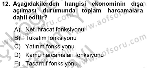 İktisada Giriş Dersi 2018 - 2019 Yılı Yaz Okulu Sınav Soruları 12. Soru