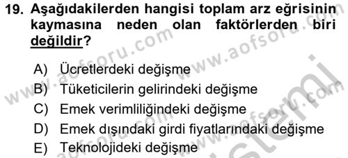 İktisada Giriş Dersi 2018 - 2019 Yılı Yaz Okulu Sınav Soruları 19. Soru