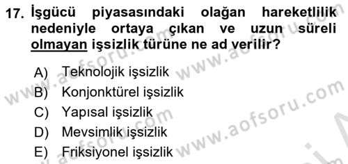 İktisada Giriş Dersi 2019 - 2020 Yılı (Vize) Ara Sınav Soruları 17. Soru