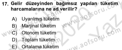 İktisada Giriş Dersi 2020 - 2021 Yılı Yaz Okulu Sınavı 17. Soru