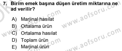 İktisada Giriş Dersi 2020 - 2021 Yılı Yaz Okulu Sınavı 7. Soru