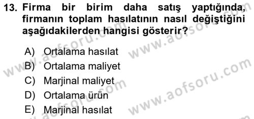 İktisada Giriş Dersi 2021 - 2022 Yılı (Vize) Ara Sınav Soruları 13. Soru