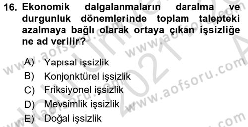 İktisada Giriş Dersi 2021 - 2022 Yılı (Vize) Ara Sınav Soruları 16. Soru