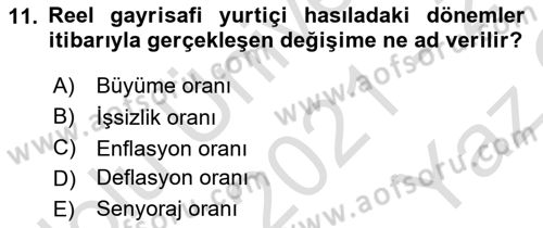 İktisada Giriş Dersi 2021 - 2022 Yılı Yaz Okulu Sınavı 11. Soru