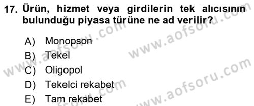 İktisada Giriş Dersi 2023 - 2024 Yılı (Vize) Ara Sınavı 17. Soru