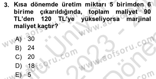 İktisada Giriş Dersi 2023 - 2024 Yılı (Final) Dönem Sonu Sınav Soruları 3. Soru