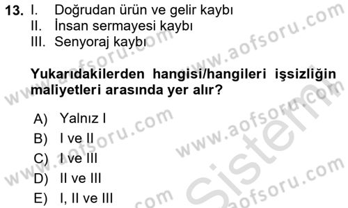 İktisada Giriş Dersi 2023 - 2024 Yılı Yaz Okulu Sınavı 13. Soru