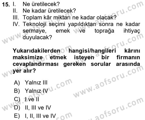 İktisada Giriş Dersi 2024 - 2025 Yılı (Vize) Ara Sınav Soruları 15. Soru