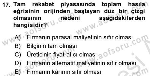 İktisada Giriş Dersi 2024 - 2025 Yılı (Vize) Ara Sınav Soruları 17. Soru